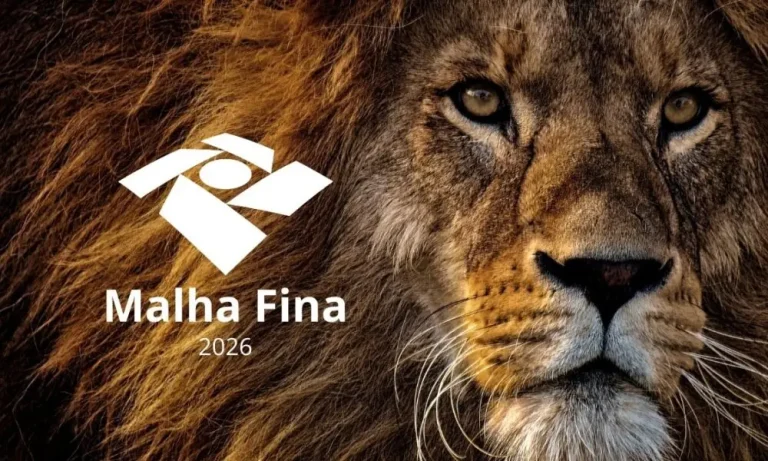 Compreendendo a Malha Fina do Imposto de Renda
